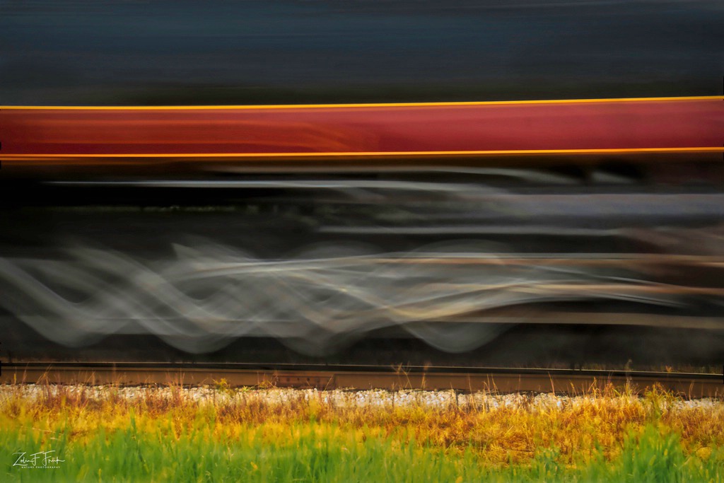 Fast Tracks for Engine 611 - ID: 15631427 © Zelia F. Frick