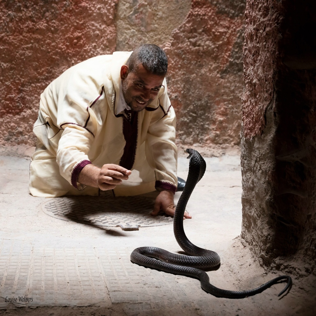 Snake Charmer - ID: 15631440 © Louise Wolbers