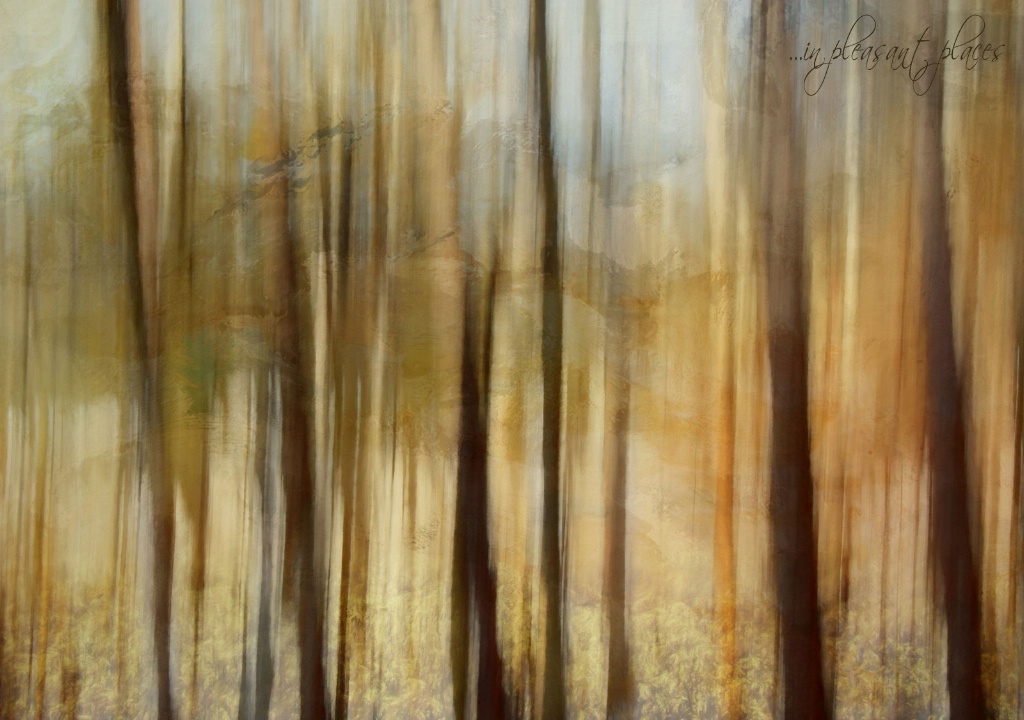 Forest Gold