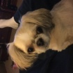 Daddy, am I cute?
