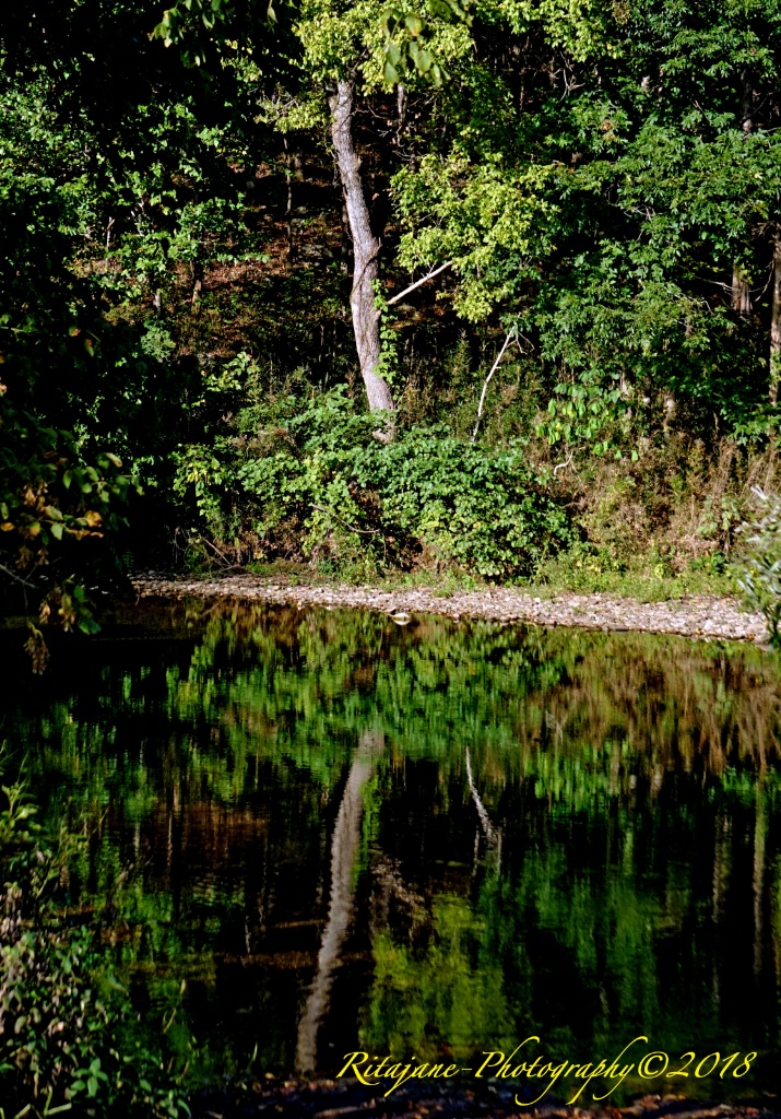 Reflections on the Buffalo River