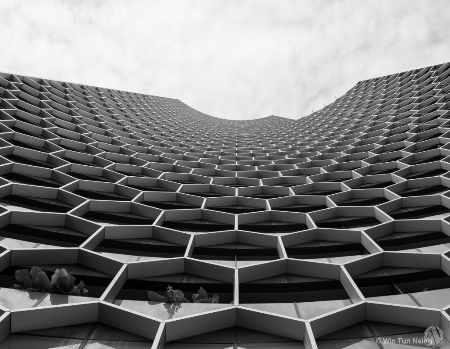 Honeycomb Facade