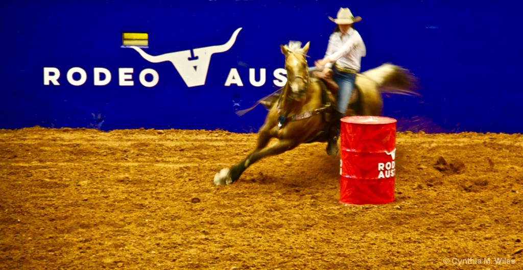 Rodeo Austin - ID: 15633409 © Cynthia M. Wiles