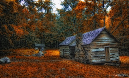 Tennessee in the Fall