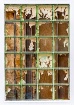 WINDOW DECOR