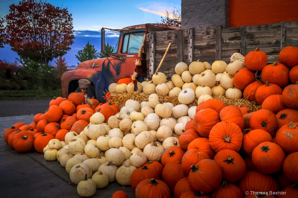 Abundant Overflowing Pumpkins - no spice