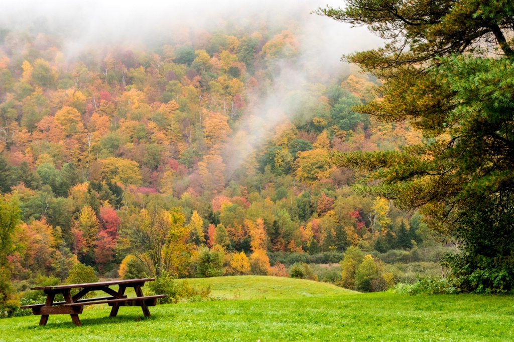 Mountain Picnic