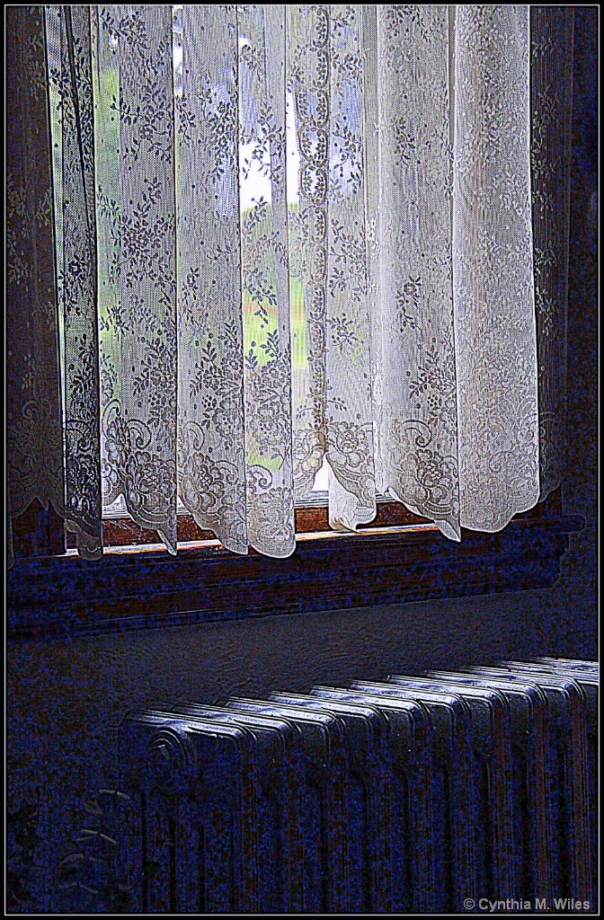 Boston Grandma's Lace Curtains - ID: 15636490 © Cynthia M. Wiles