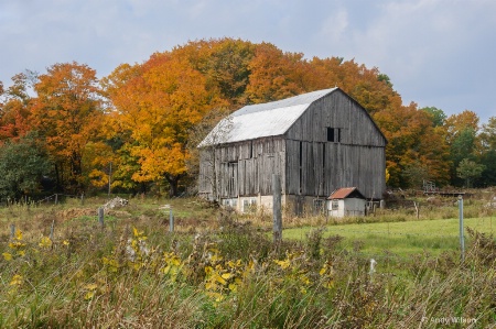 Muskoka Barn