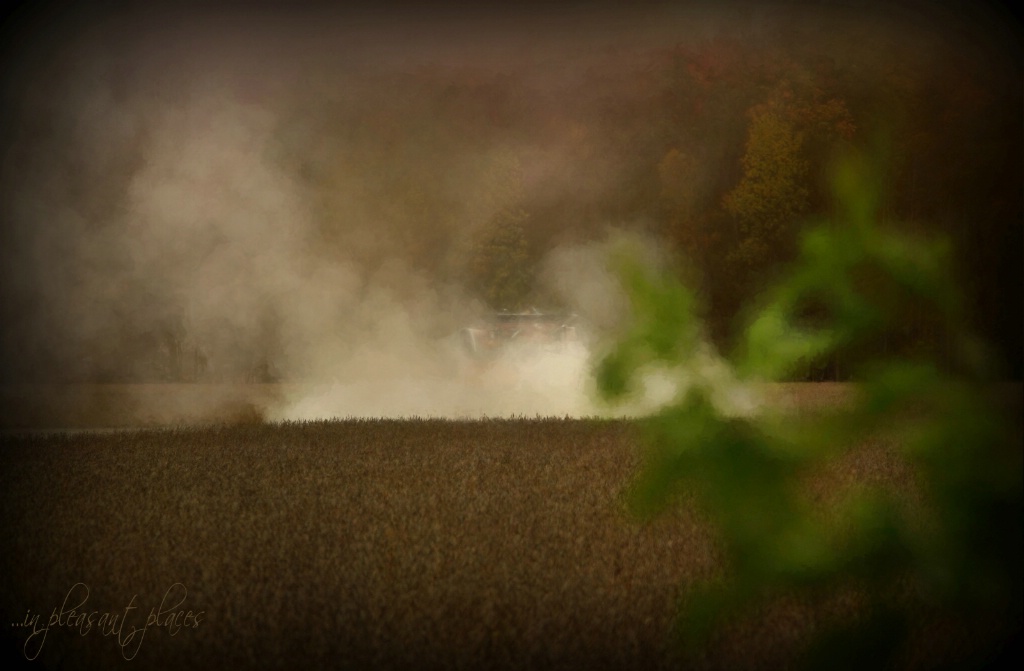 Harvest Smoke