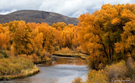 Gunnison Gold