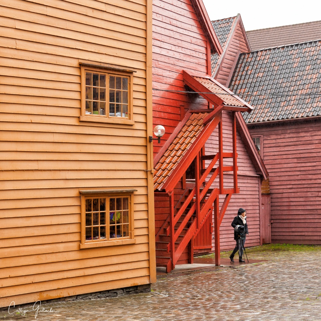 Photographer, Bergen