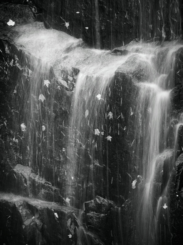 Acadia Waterfall