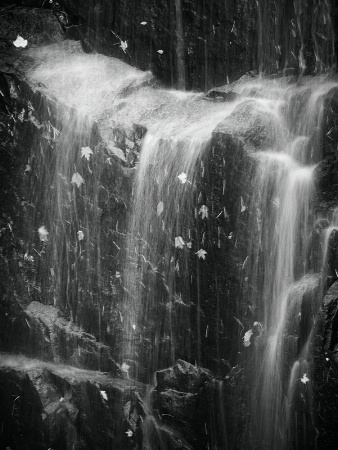 Acadia Waterfall