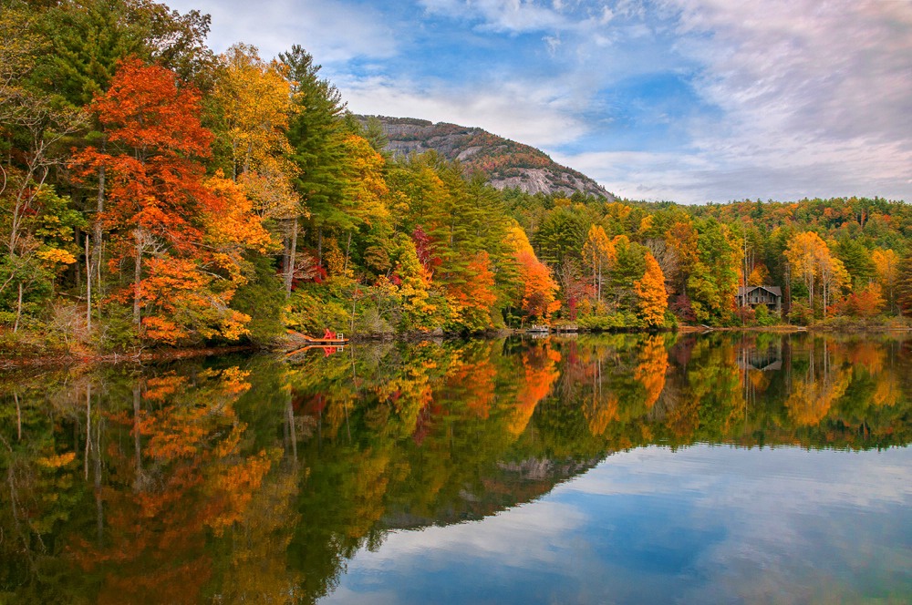 Fall Reflection