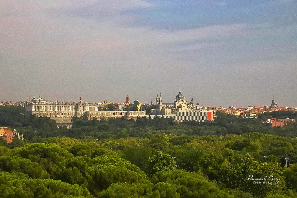 Royal Palace from a Distance