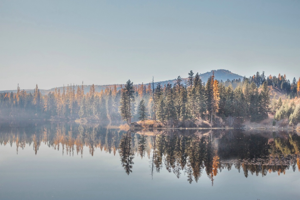 Misty Morning