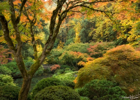 Morning in the Garden