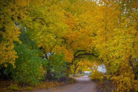 Jacona Fall