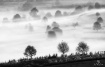 Morning foggy