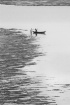 Boat and the line...