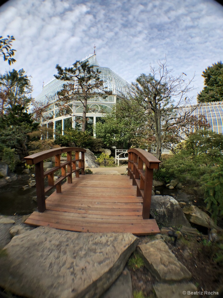 img6