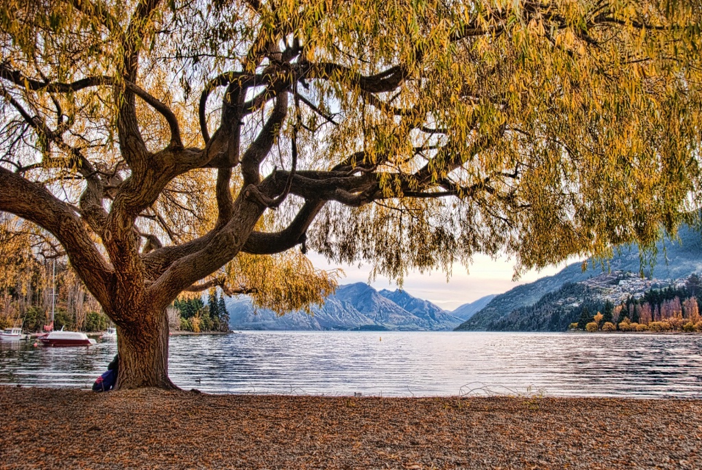 Queenstown In The Fall