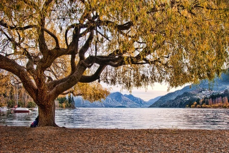 Queenstown In The Fall