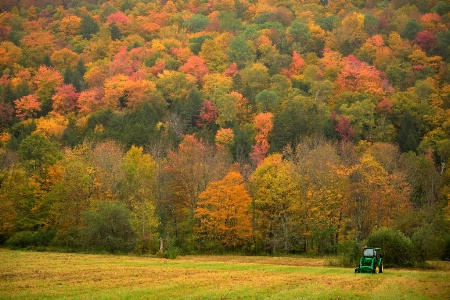 Fall in Vermont