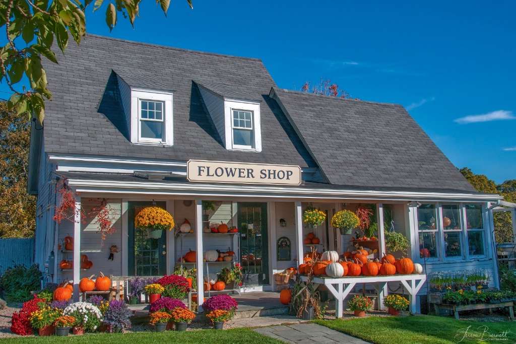 The Flower Shop