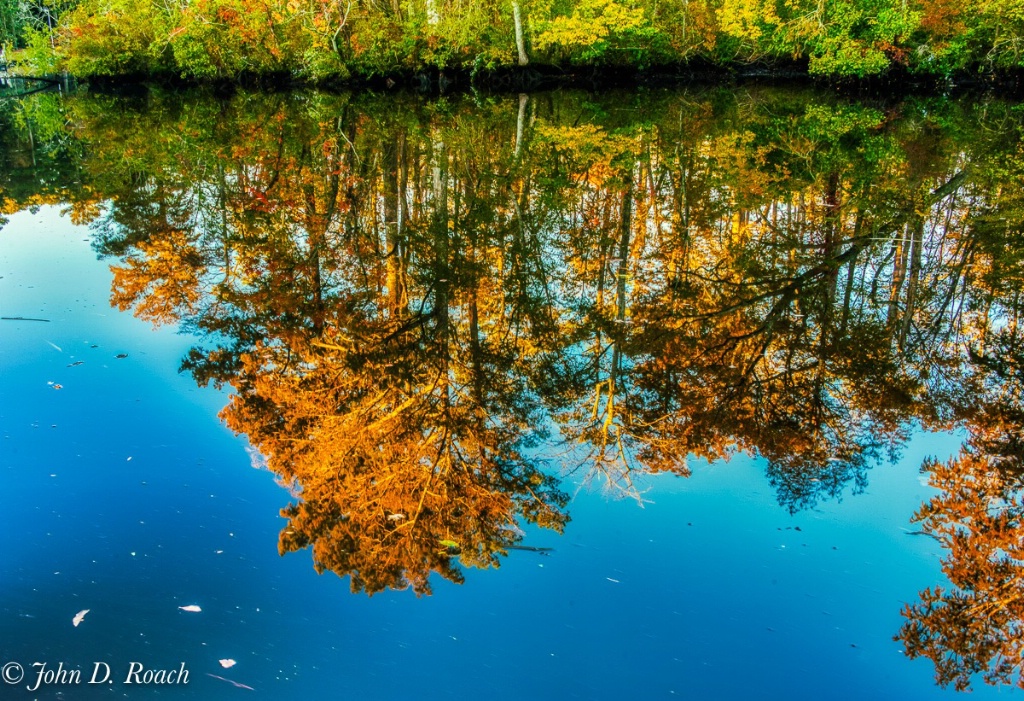 Reflections of Autumn - ID: 15642817 © John D. Roach