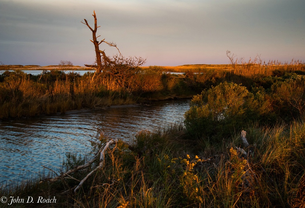 October at the Marsh - ID: 15642818 © John D. Roach