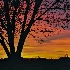 © Nancy Auestad PhotoID# 15643488: autumn colors in the sky