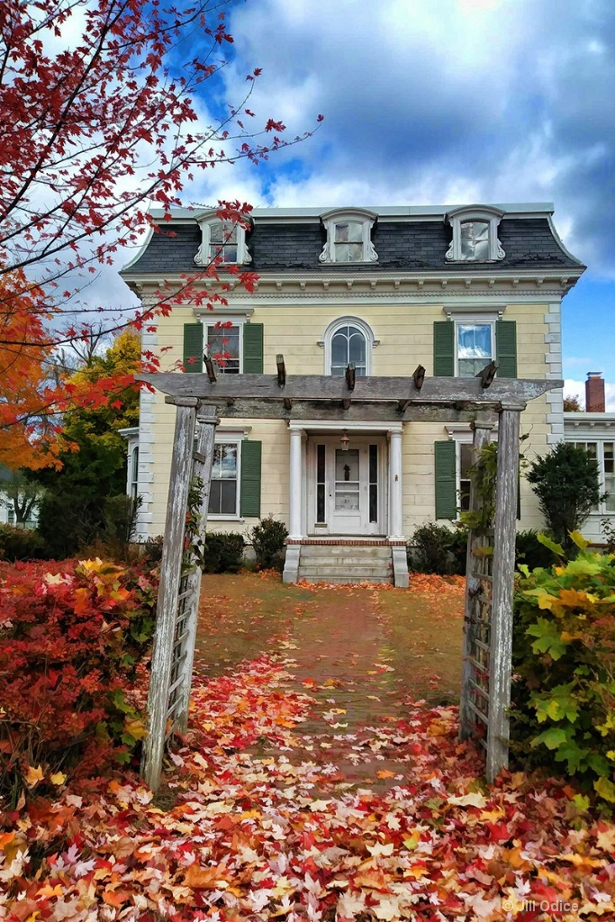 Green Street Fall Colors