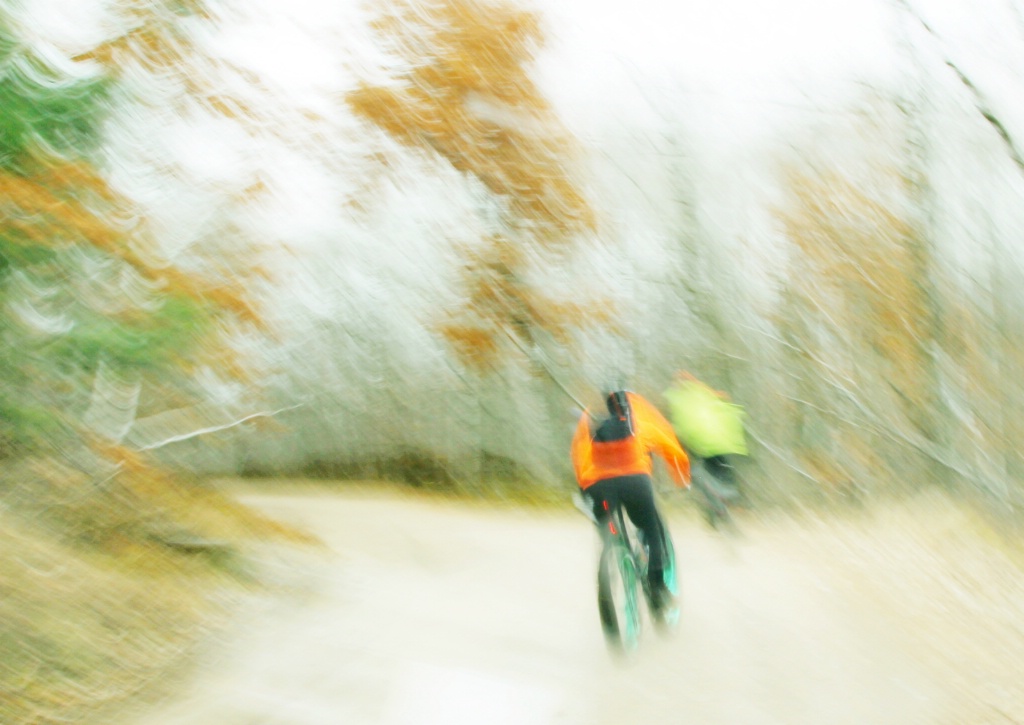 Fat Tire Biking in the Woods