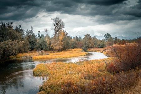 Stormy Days