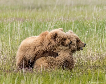 Bear Cub Hug