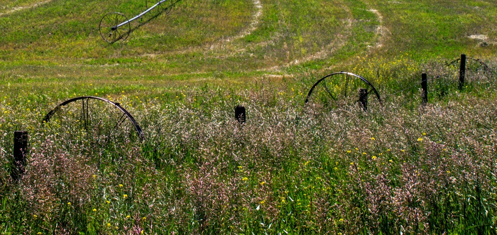 Irrigation Wheels 