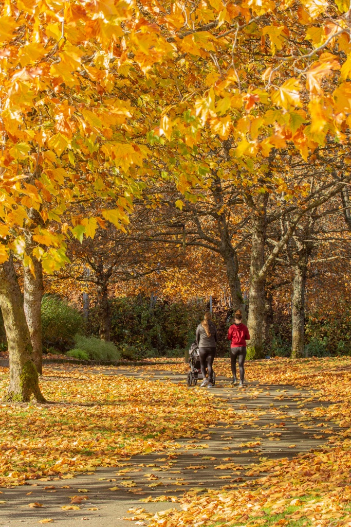 A Walk in the Park