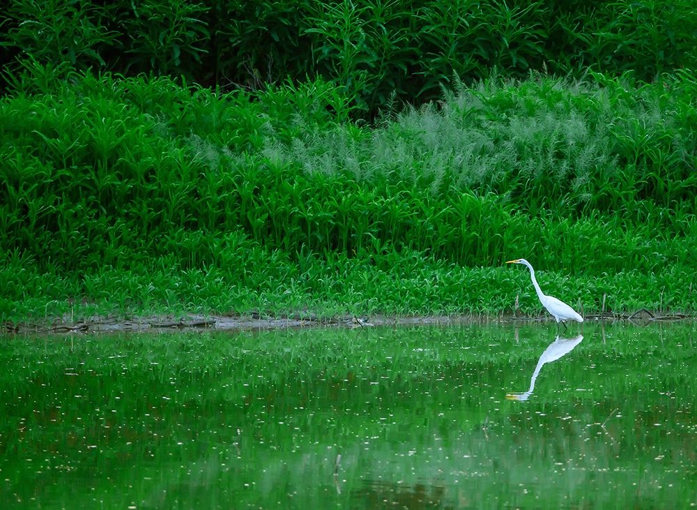 Fishing Expedition 