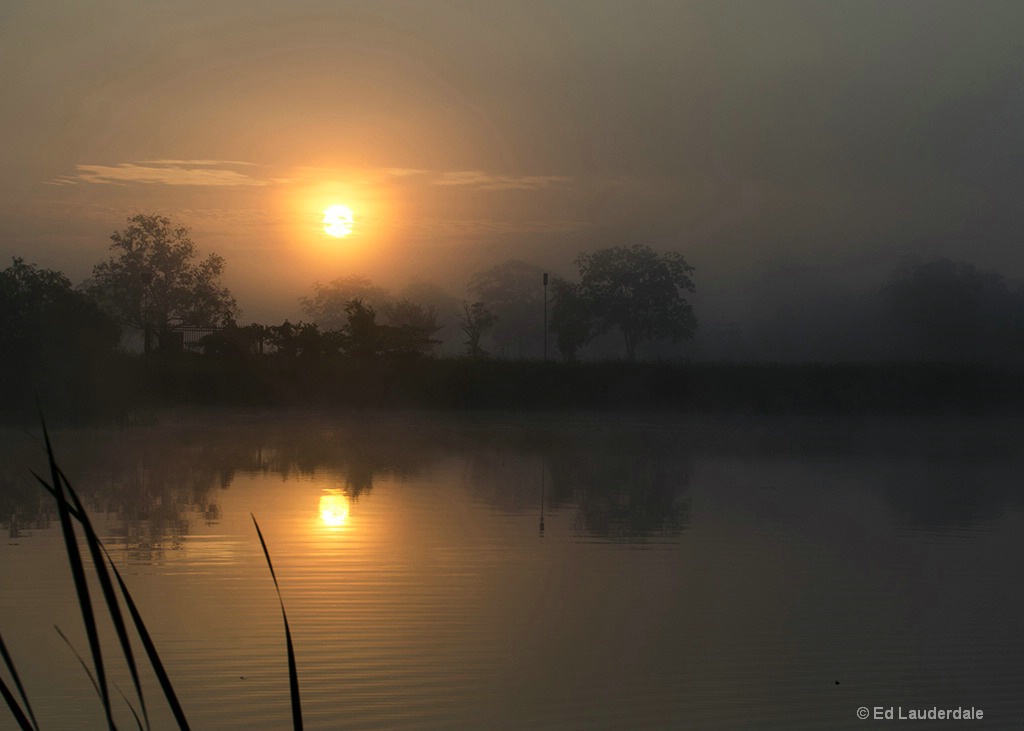 Foggy Reflectiion