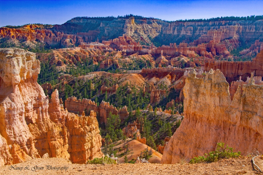 Bryce Canyon