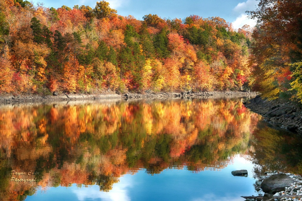 Laurel Lake Reflections