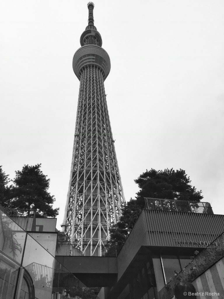 Tokyo in B&w