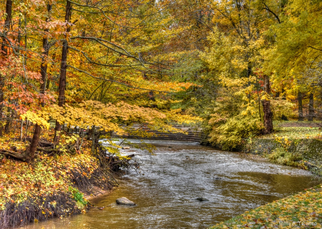 Metropark Display