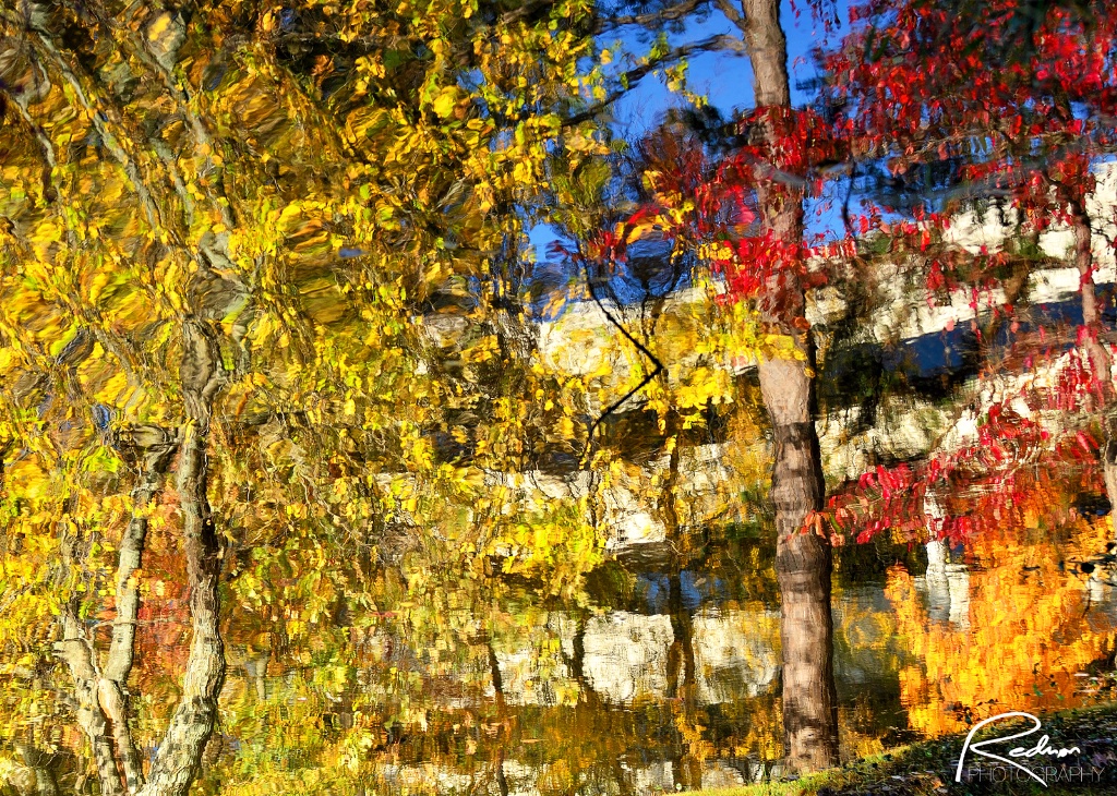 Reflections of Autumn 