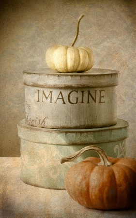 ~ IMAGINE ~