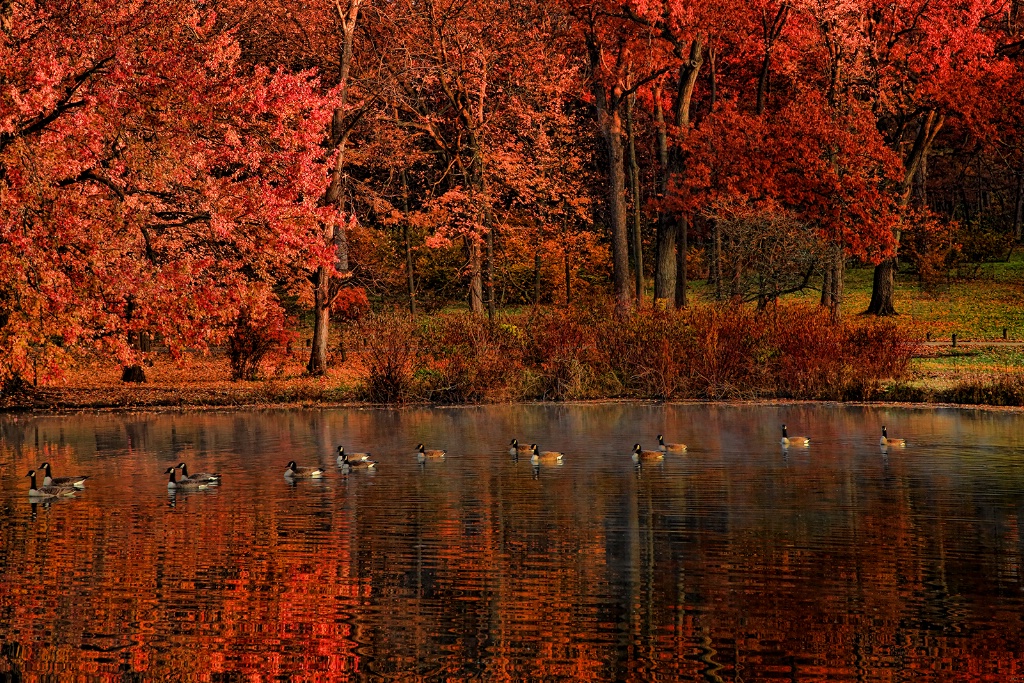 Fall Color Reflections