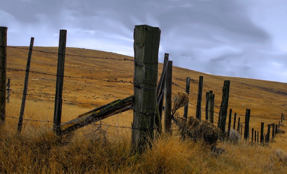 Fence on the Range 