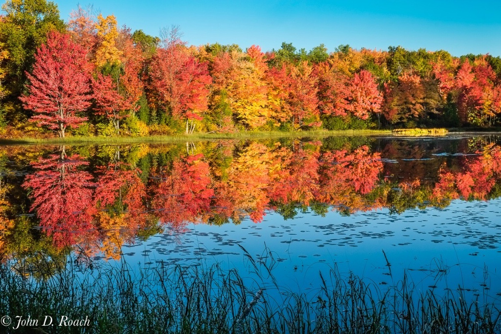 Rich Reflections of Fall - ID: 15650517 © John D. Roach